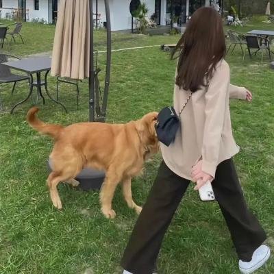 哈兰·科本的庇护所
